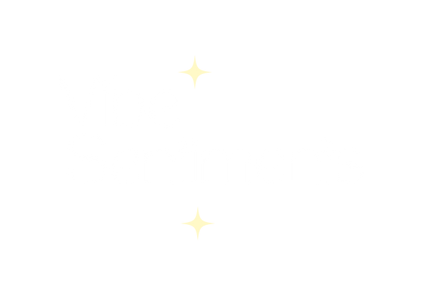 VibeSetiments